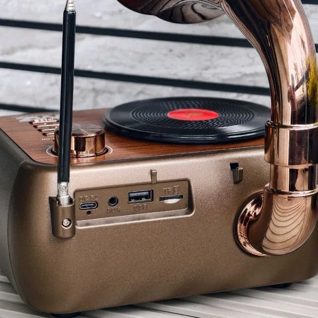 Classic Gramophone Design with AM/FM/SW Radio Speaker M305