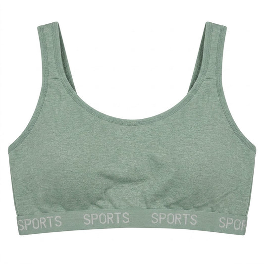 Premium Sage Sports Bra (90B) L326