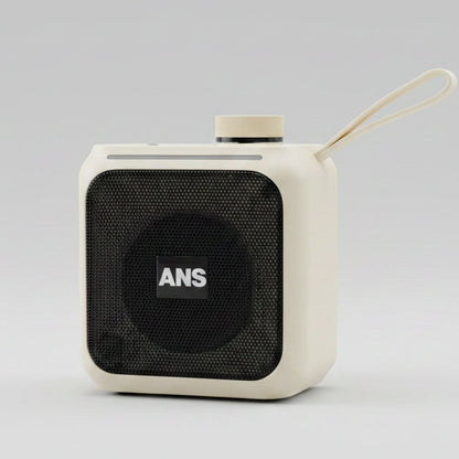ANS Jalwa 2.0 Bluetooth Speaker Z786