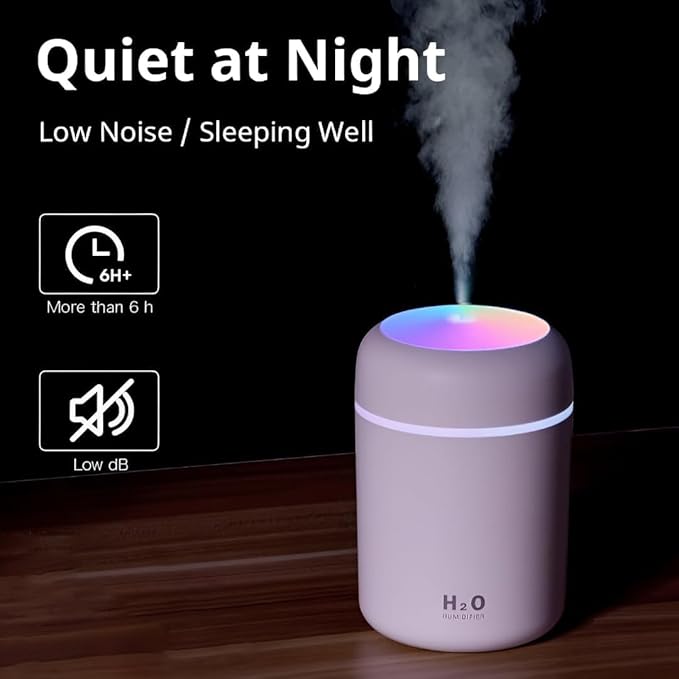H2O Humidifier Aroma Diffuser G300