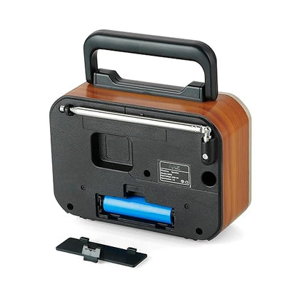 Retro Radio Speaker High Power with Multi-Functional Features MZ S666