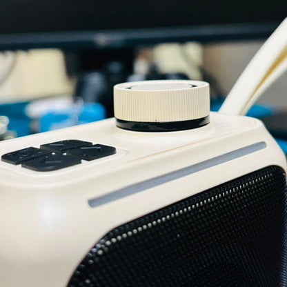 ANS Jalwa 2.0 Bluetooth Speaker Z786
