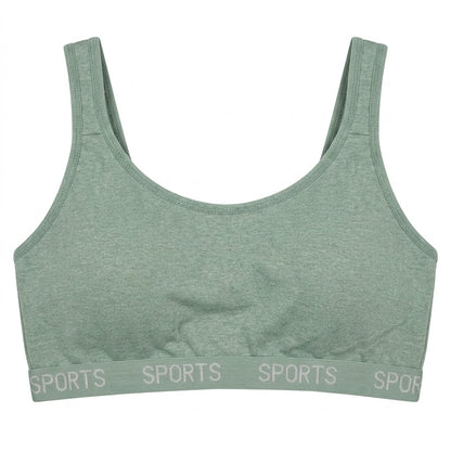 Premium Sage Sports Bra (90B) L326