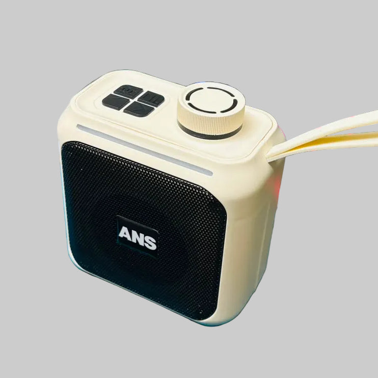 ANS Jalwa 2.0 Bluetooth Speaker Z786