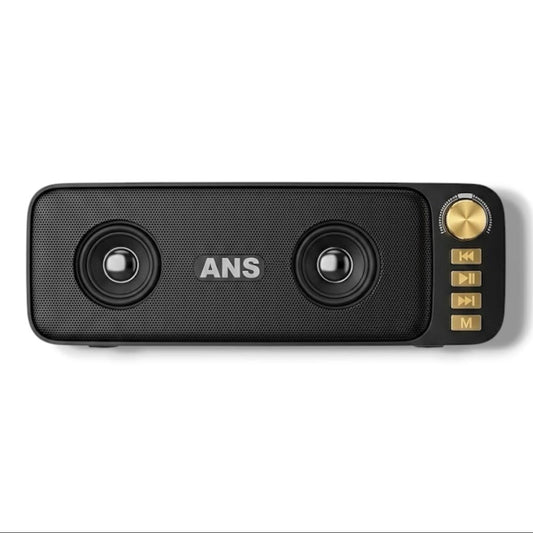 Ans Durandhar 24W Portable Speaker F110